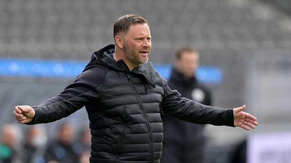 Pal Dardai wurde entlassen. © APA/afp / SOEREN STACHE