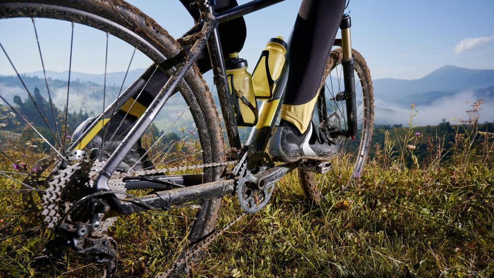 Tarscher Alm: Biken mit Aussicht