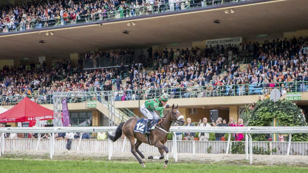 Quel spectacle : Plus de 10 000 spectateurs ont acclamé Speed ​​Emile lors de sa victoire lors du 85e Grand Prix de Merano en 2024. Le cheval français sera de retour en action dimanche avec le jockey Baptiste Le Clerc. © FOTO PRESS ARIGOSSI