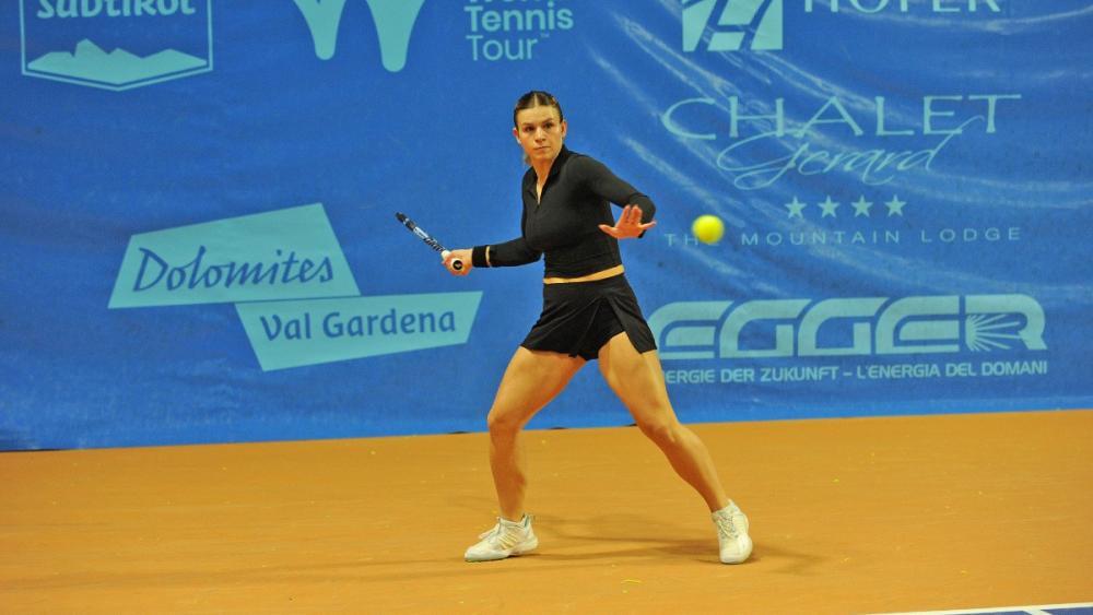 fett-und-xu-berleben-favoritensterben-in-selva