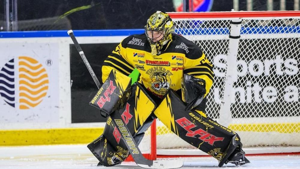 gr-den-r-stet-auf-der-torh-ter-position-nach