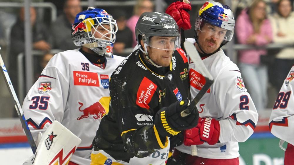 Die Wölfe wollen den Bullen die Stirn bieten. © Iwan Foppa