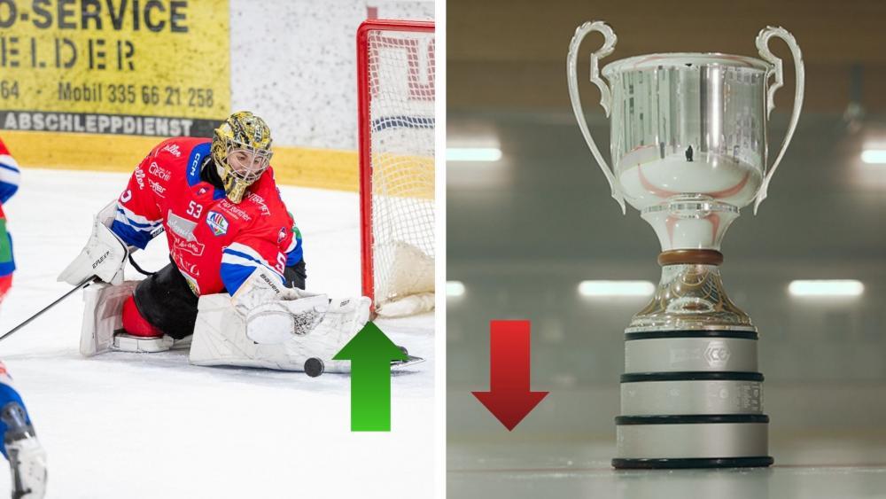 Die Auf- und Absteiger sind da. © ICE Hockey League / Matthäus Kostner