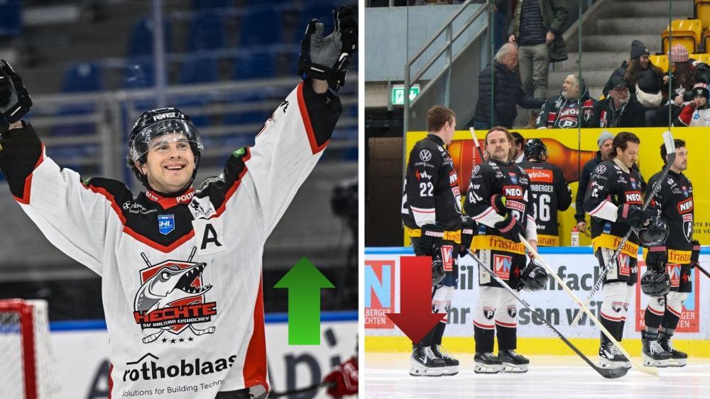 Die Auf- und Absteiger sind wieder da. © Pioneers Vorarlberg / MICO26 / Diego Barbieri