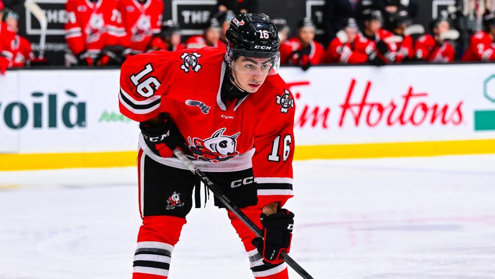 Michael Levin spielt künftig für den HC Meran. © OHL Images / Brandon Taylor
