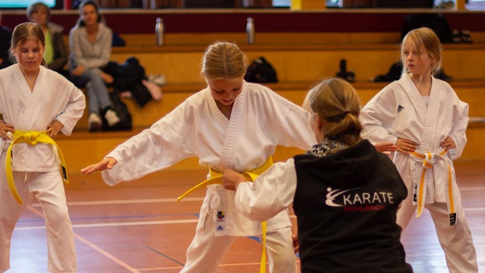 Karate Mühlbach – eine Erfolgsstory. © KARATE MUHLBACH