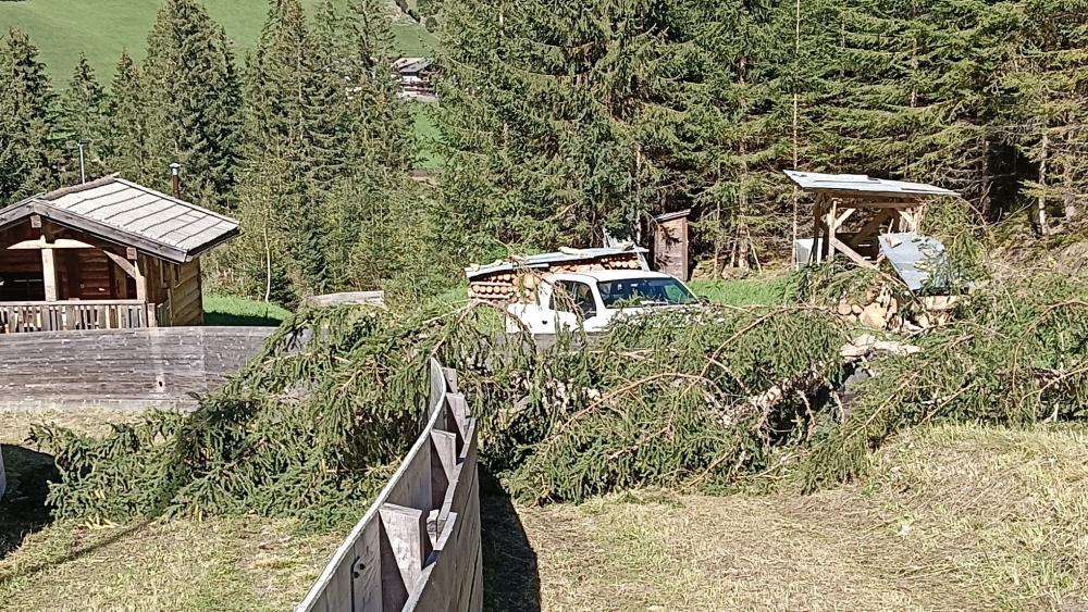 Die Sturmschäden an der Rodelbahn sind beachtlich. © privat