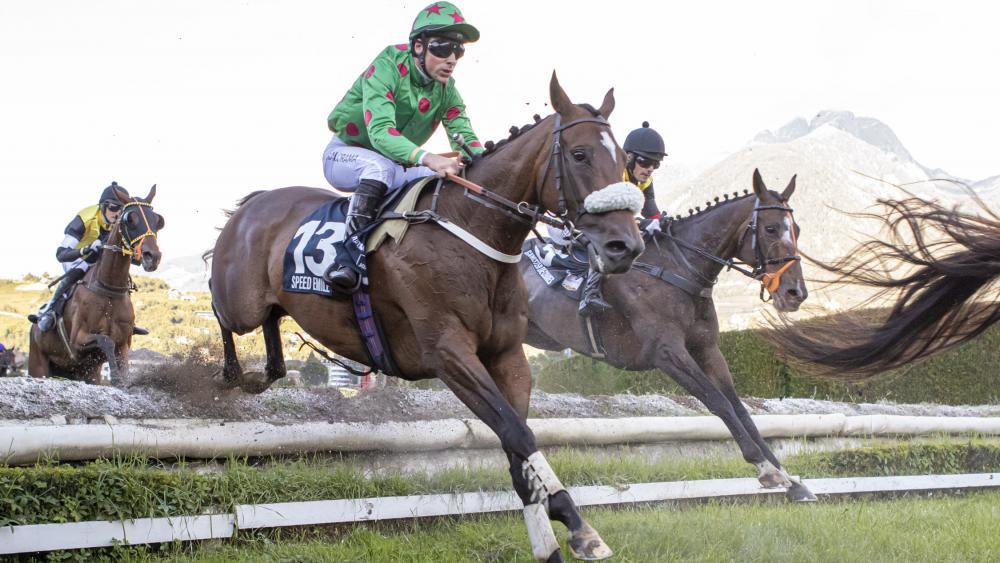 Gangster de Coddes und Speed Emile (von rechts) greifen am Sonntag nach den Sternen. © FOTO PRESS ARIGOSSI 2025