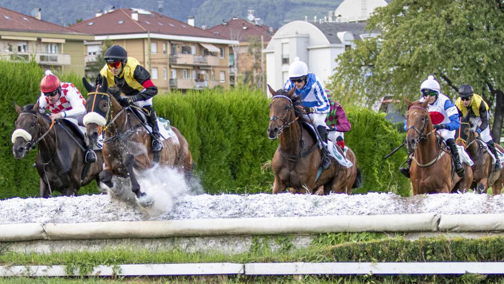 In Meran steht am Wochenende wieder hochkarätiger Pferdesport auf dem Programm. © FOTO PRESS ARIGOSSI 2026