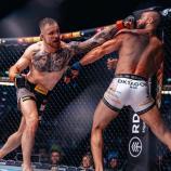 Südtirol ist im MMA-Fieber.