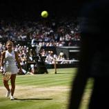 Jasmine Paolini schlägt in Kürze wieder in Wimbledon auf. © APA/afp / BEN STANSALL