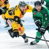 The defender (left) remains a wolf. © Domen Jancic