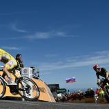 Die richtige Ernährung ist bei Tadej Pogacar & Co. das A und O. © APA/afp / MARCO BERTORELLO