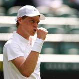 Jannik Sinner trotzte der Hitze. © APA/afp / HENRY NICHOLLS