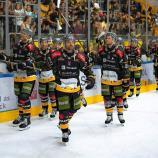 HC Pustertal can count on the support of its fans – especially in Vienna. © HCP/Florian Gasperi