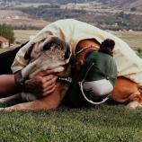 Lewis Hamilton und Hund Roscoe. © Tobias Unterhofer / Instagram