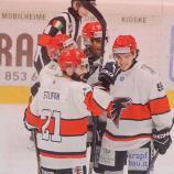 Die Falcons aus Brixen haben einen wichtigen Sieg eingefahren. © Falcons Brixen