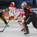 Ein Bild mit Symbolcharakter: Bozens Enrico Miglioranzi stürzt spektakulär. © Graz99ers