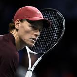 Jannik Sinner steht im Finale von Paris. © APA/afp / JULIEN DE ROSA