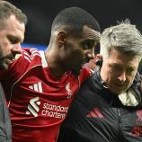 Alexander Isak had to leave the field injured at the weekend. © APA/afp / JUSTIN TALLIS