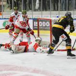 Der HC Bozen und der HC Pustertal stehen vor einem weiteren großen Duell. © HCB/Manfred Mair