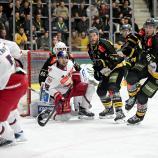 Der HC Pustertal gewann auch das zweite Spiel gegen Salzburg. © HC Pustertal / I. Foppa