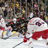 Der HC Pustertal verteidigte gegen Salzburg mit Können und konnte sich auf einen starken Eddie Pasquale verlassen. © HC Pustertal / I. Foppa