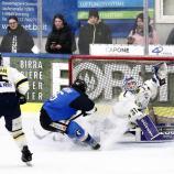 Die Wildpferde spielen gegen die Eisbären. © Instagram / daniele_frusone_photography