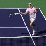 Jannik Sinner steht im Finale. © APA / MATTHEW STOCKMAN