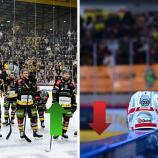 Die Tops und Flops dieser Woche sind gekürt.