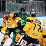 Greg Di Tomaso & Co. have big plans. © Domen Jancic