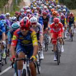 Tadej Pogacar (à droite, en rouge) a fait une lourde chute samedi. © APA/afp / JOSEP LAGO