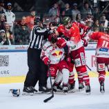 Der HC Bozen ließ seine Muskeln spielen. © EC Red Bull Salzburg / Manuel Mackinger - EC Red Bull Salzburg