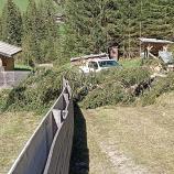 Die Sturmschäden an der Rodelbahn sind beachtlich. © privat