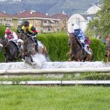 Top-class equestrian sport is on the program again this weekend in Merano. © FOTO PRESS ARIGOSSI 2026