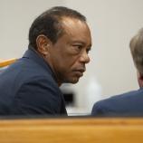 Tiger Woods erklärte sich schuldig. © APA/afp / CRYSTAL VANDER WEIT