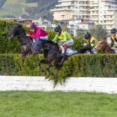 Titre