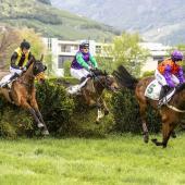 The riding season opened on Sunday at the Merano racecourse. © FOTO PRESS ARIGOSSI 2025