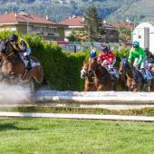 Between Easter Sunday and October 12, 28 race days are scheduled at Merano. © FOTO PRESS ARIGOSSI 2024