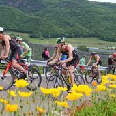 Am Samstag geht der Kalterer See Triathlon über die Bühne. © Newspower