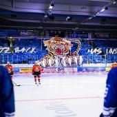 The Straubing Tigers are coming to South Tyrol. © pm