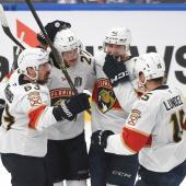 The Florida Panthers are just one win away from the Stanley Cup. © APA / LEILA DEVLIN