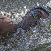 Gregorio Paltrinieri hat sich im Freiwasser seine 17. WM-Medaille geschnappt. © ANSA / CIRO FUSCO