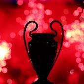 The race for the coveted trophy will soon begin again. © APA/afp / FRANCK FIFE