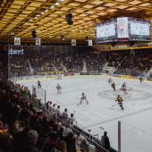 Soon, the Intercable Arena will be rocking again. © HC Pustertal