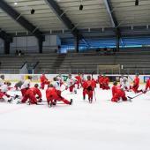 The Foxes completed their first ice practice on Saturday. © Vanna Antonello
