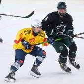 The Unterland Cavaliers won their friendly match. © Vanna Antonello
