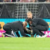 A hole in the lawn © APA / GEORG HOCHMUTH