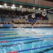 Das Schwimm-Meeting in Bozen zieht auch prominente Namen an.