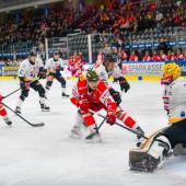 The Foxes are hosting the Vorarlberg Pioneers. © Manfred Mair